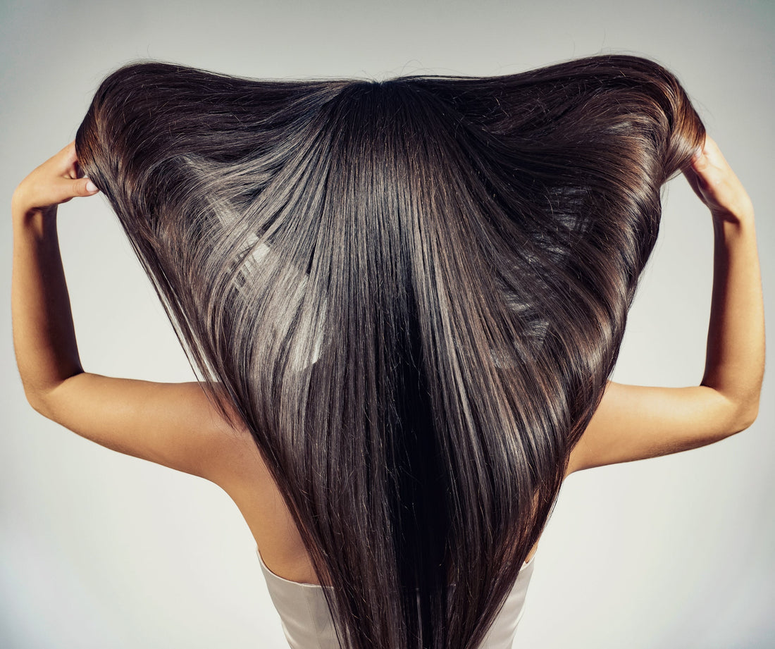 Descodificando Miracle Fort 5: El Poder de Nuestros 5 Activos Clave